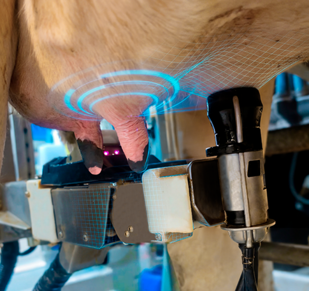 BouMatic Gemini Up fejőrobot AI-alapú robotfejés közben