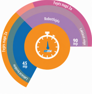 BouMatic infografika a robotfejés, a napi kétszeri és háromszori fejés időzítéséről a laktáció során
