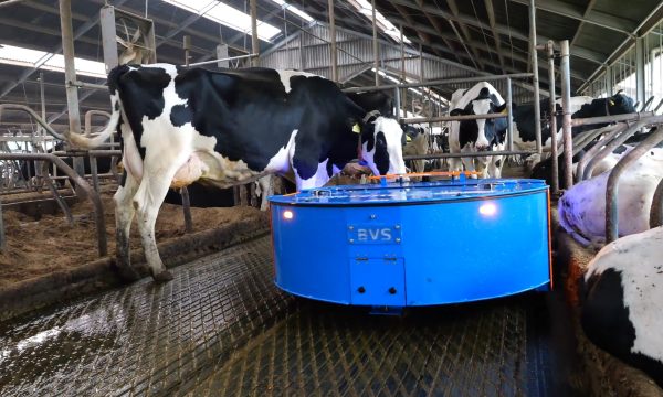 Képernyőkép 2026-02-12 094455