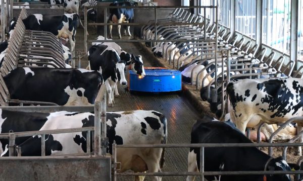 BVS trágyatisztító