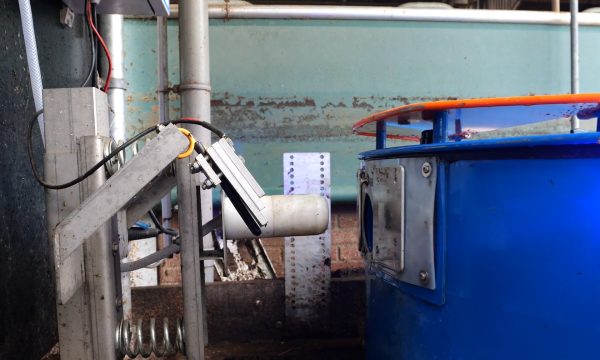 Képernyőkép 2026-02-12 094603